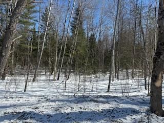 Unit 9 — Part 4 of Part of Lot 18 Concession, Lake of Bays - Mclean