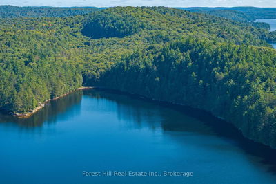 1-18863 North Creek Dr, Algonquin Highlands - McClintock image-0-2