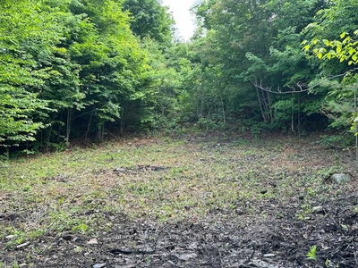 4 MCNAUGHTS Rd, Seguin - Seguin image-0-2
