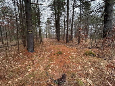 Lot 16 Echo Lake Rd, Parham - Frontenac Centre image-0-1