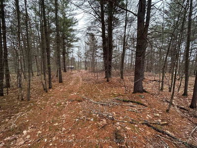 Lot 16 Echo Lake Rd, Parham - Frontenac Centre image-0-2