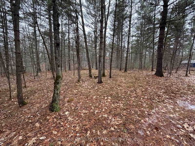 Lot 16 Echo Lake Rd, Parham - Frontenac Centre image-0-3