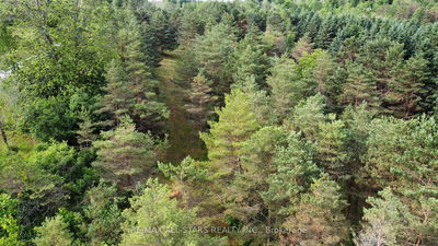 283 Bland Line, Cavan Monaghan - Cavan Twp image-0-2