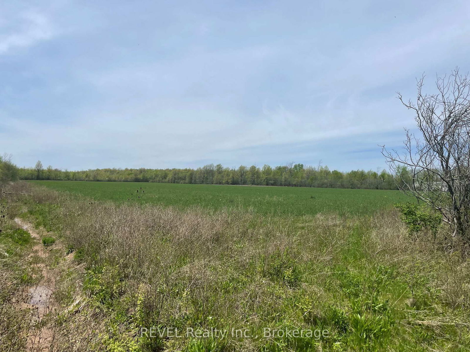 Vacant Land for sale at Pt Lt 3 Sunset Drive, Fort Erie, Bowen, L2A 5M4 - MLS: X12029865