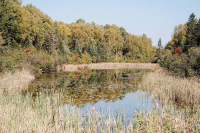 445 Fox Ru, Temagami - Temagami image-0-2
