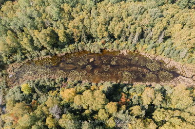 445 Fox Ru, Temagami - Temagami image-0-4