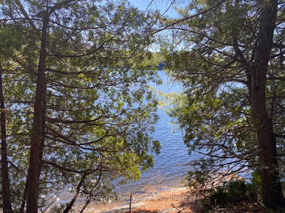 2-18863 North Creek Dr, Algonquin Highlands - McClintock image-0-1