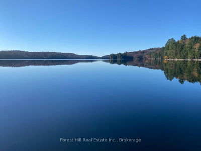 2-18863 North Creek Dr, Algonquin Highlands - McClintock image-0-4