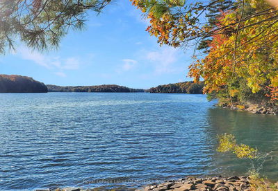 Unit 5 — 1188 Sandwood Rd, Muskoka Lakes - Watt image-0-3