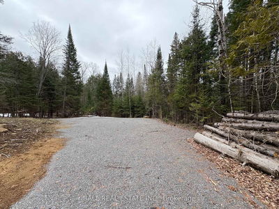  Rose Island Rd, Coe Hill - Wollaston image-0-1