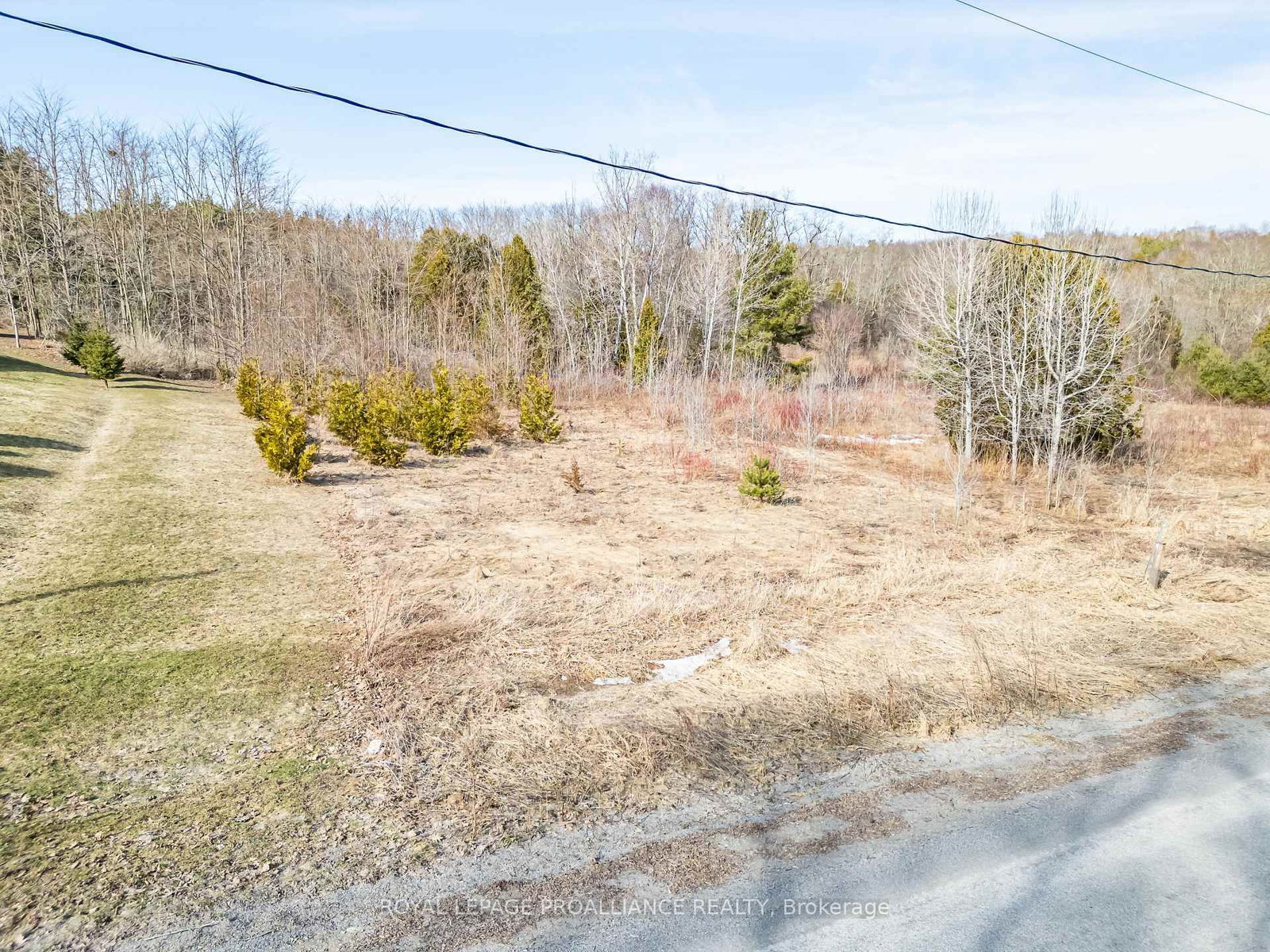 Vacant Land for sale at Part Lot 1 Dudley Road, Alnwick/Haldimand, Rural Alnwick/Haldimand, K0K 1S0 - MLS: X12030940