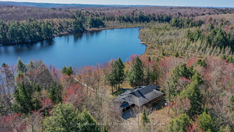 1420 Limberlost Rd, Lake of Bays - Sinclair image-0-0