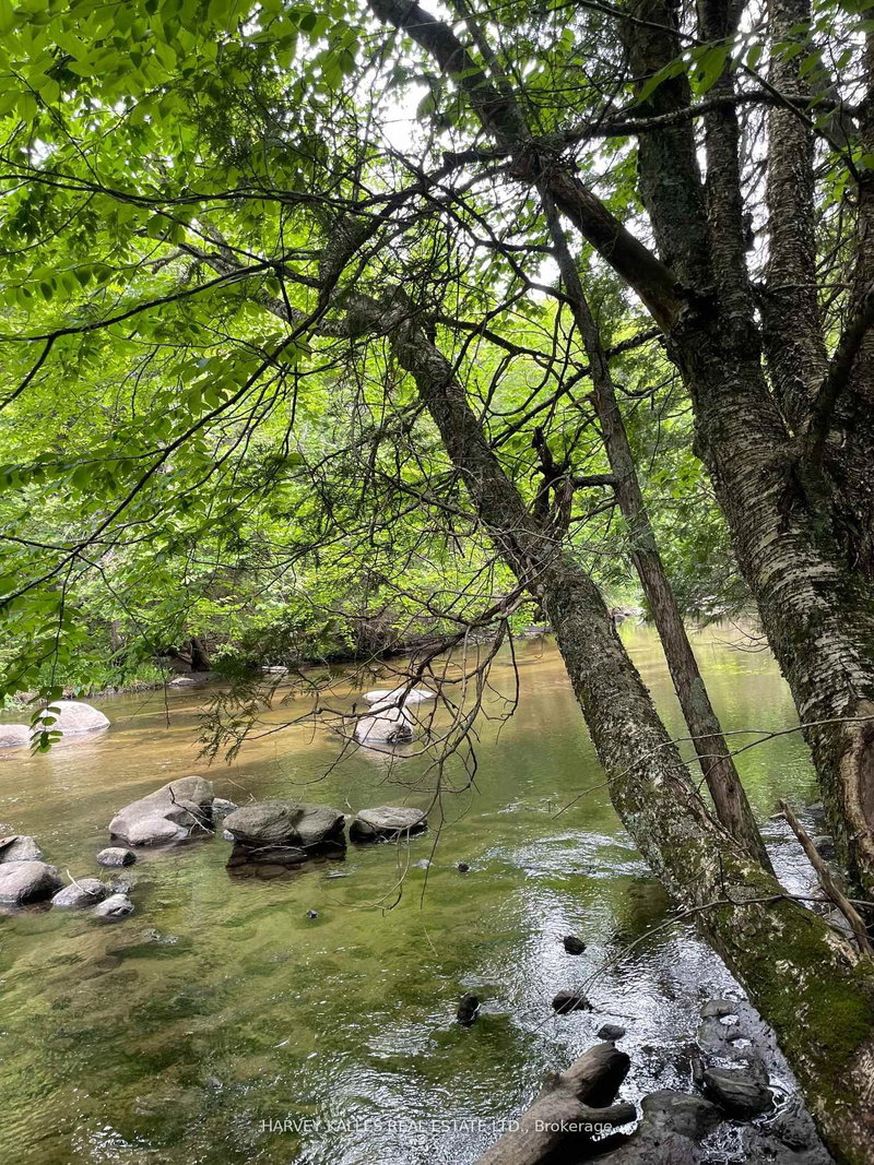 79 Gummow Rd, Trent Hills, K0K 3K0 | Image 2