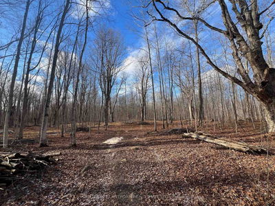 55 Post Rd, Thomasburg - Centre Hastings image-0-1