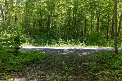 55 Post Rd, Thomasburg - Centre Hastings image-0-2