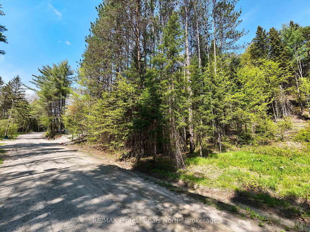 75 Balsam Chutes Road