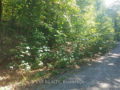 N/A Johnston Rd, Seguin - Seguin image-0-1