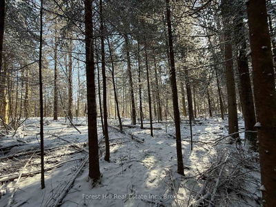 27 Old Nipissing Road N Rd, Parry Sound Remote Area - Pringle image-0-3