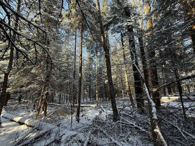 27 Old Nipissing Road N Rd, Parry Sound Remote Area - Pringle image-0-4