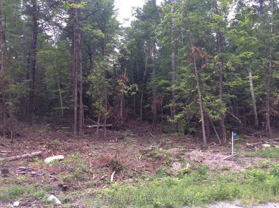 901 DARLING Rd, Clayton - Lanark Highlands (Lanark) Twp image-0-2