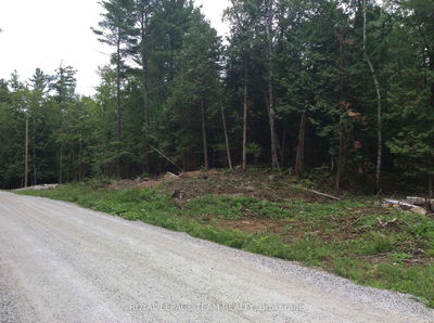 901 DARLING Rd, Clayton - Lanark Highlands (Lanark) Twp image-0-4
