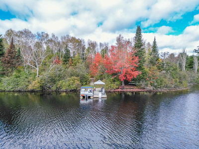1078 Bellwood Acres Rd, Lake of Bays - Ridout image-0-4