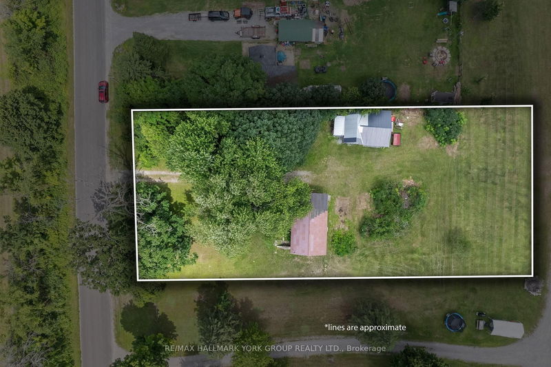592 Balsam Lake Dr, Kawartha Lakes - Rural Bexley image-0-0