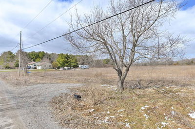 128 Boundary Rd, Belleville -  image-0-2