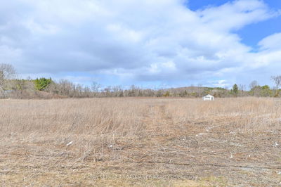 128 Boundary Rd, Belleville -  image-0-4