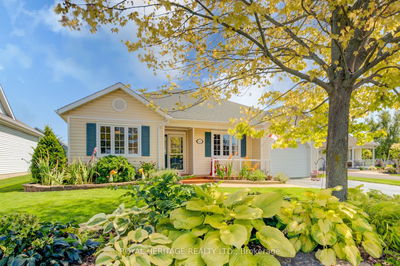 66 Mills Rd, Brighton - Brighton