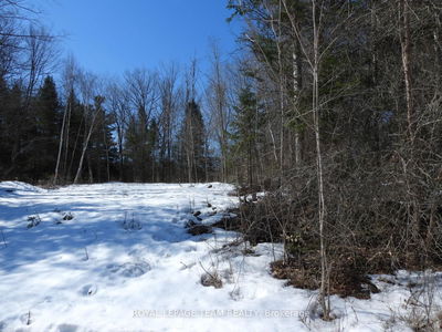 112 Mitchell Lane, Arnprior - Mcnab/Braeside Twps image-0-2