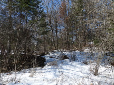 112 Mitchell Lane, Arnprior - Mcnab/Braeside Twps image-0-4