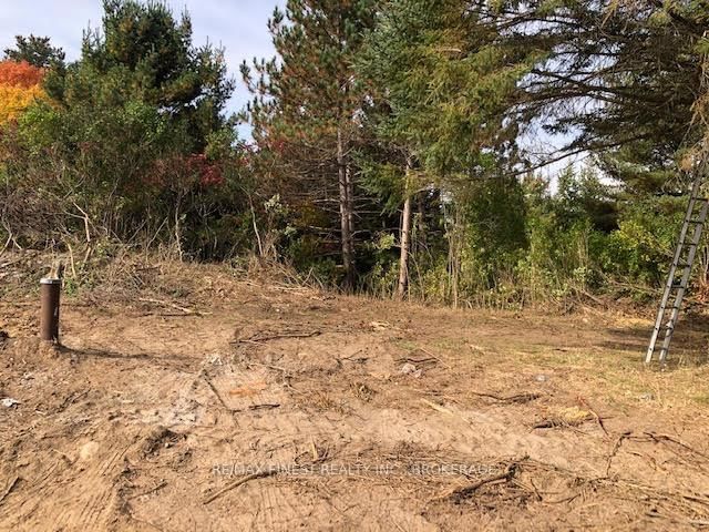 1380 WESTPORT Rd, Godfrey, K0H 1T0 | Image 2