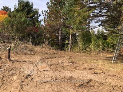 1380 WESTPORT Rd, Godfrey - Frontenac South image-0-1