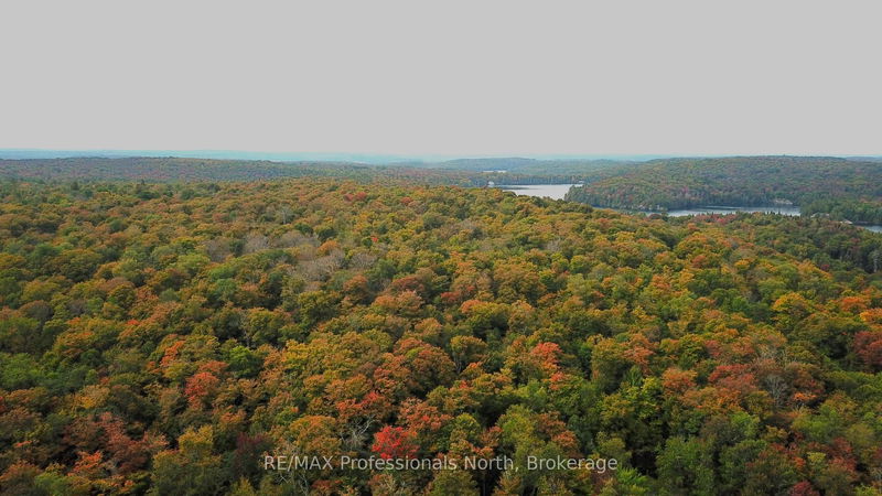  SOUTH HORN LAKE Rd, Magnetawan - Magnetawan image-0-0