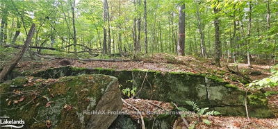  SOUTH HORN LAKE Rd, Magnetawan - Magnetawan image-0-4