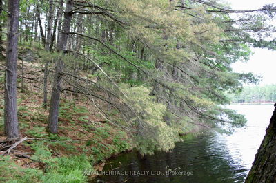 Unit LOT 1 — N/A-WAO Kasshabog Lake, Havelock-Belmont-Methuen - Havelock-Belmont-Methuen image-0-1