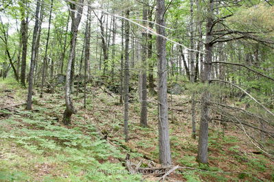 Unit LOT 1 — N/A-WAO Kasshabog Lake, Havelock-Belmont-Methuen - Havelock-Belmont-Methuen image-0-3