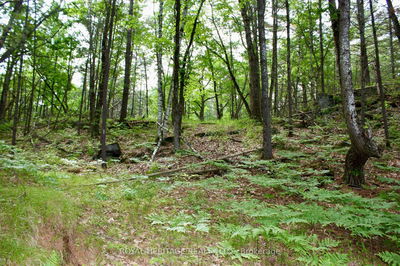 Unit LOT 1 — N/A-WAO Kasshabog Lake, Havelock-Belmont-Methuen - Havelock-Belmont-Methuen image-0-4
