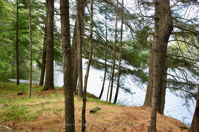 Unit LOT 2 — N/A-WAO Kasshabog Lake, Havelock-Belmont-Methuen - Havelock-Belmont-Methuen