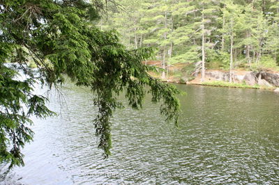 Unit LOT 2 — N/A-WAO Kasshabog Lake, Havelock-Belmont-Methuen - Havelock-Belmont-Methuen image-0-2