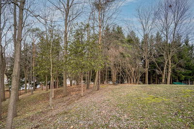 558 Governors Rd, Hamilton - Dundas image-0-1