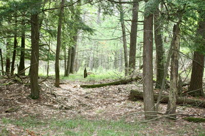 Unit LOT 3 — N/A-WAO Kasshabog Lake, Havelock-Belmont-Methuen - Havelock-Belmont-Methuen image-0-3