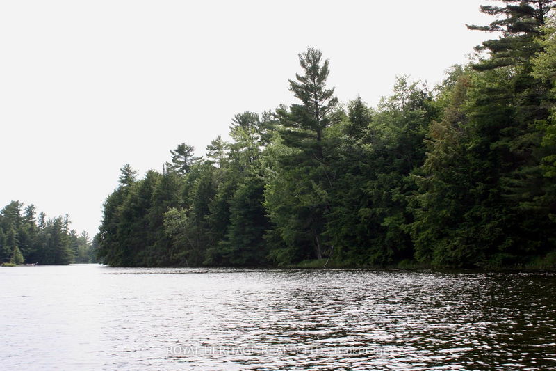 Unit LOT 4 — N/A-WAO Kasshabog Lake, Havelock-Belmont-Methuen - Havelock-Belmont-Methuen image-0-0
