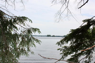 Unit LOT 4 — N/A-WAO Kasshabog Lake, Havelock-Belmont-Methuen - Havelock-Belmont-Methuen image-0-2