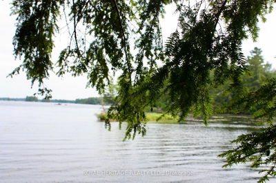Unit LOT 4 — N/A-WAO Kasshabog Lake, Havelock-Belmont-Methuen - Havelock-Belmont-Methuen image-0-4