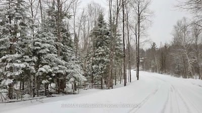PCL 20438 & 298 Upper Walker Lake Rd Rd, Lake of Bays - Sinclair