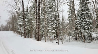 PCL 20438 & 298 Upper Walker Lake Rd Rd, Lake of Bays - Sinclair image-0-1