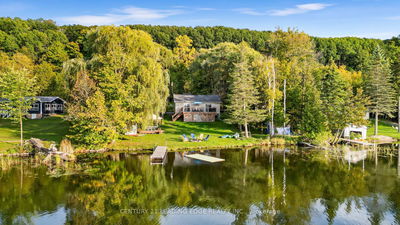 50 Cedar Lane, Hastings - Sidney Ward
