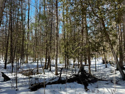 LT 17 CON 13 Richards Rd, Mattawa - Mattawa image-0-4